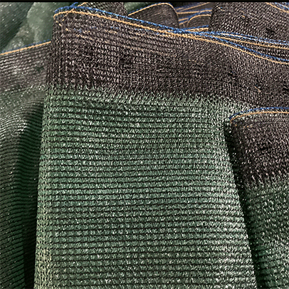 æåé®é³ç½åå®¶